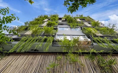 KunKin Garden – 照片 10